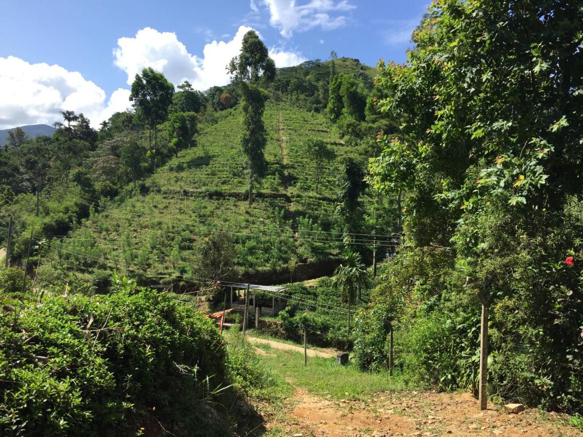Rohana Estate Lodging & Camping Kandy Exterior foto