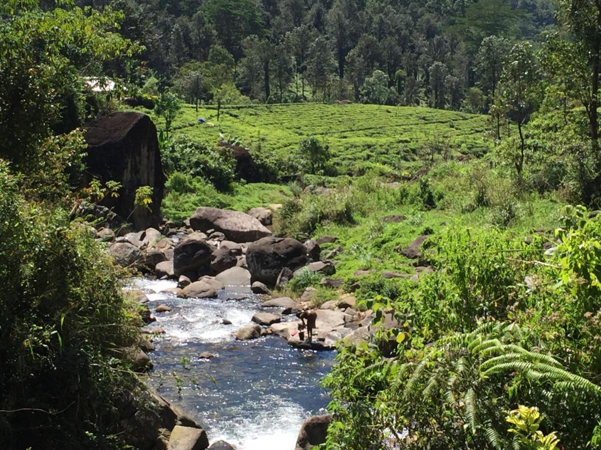 Rohana Estate Lodging & Camping Kandy Exterior foto