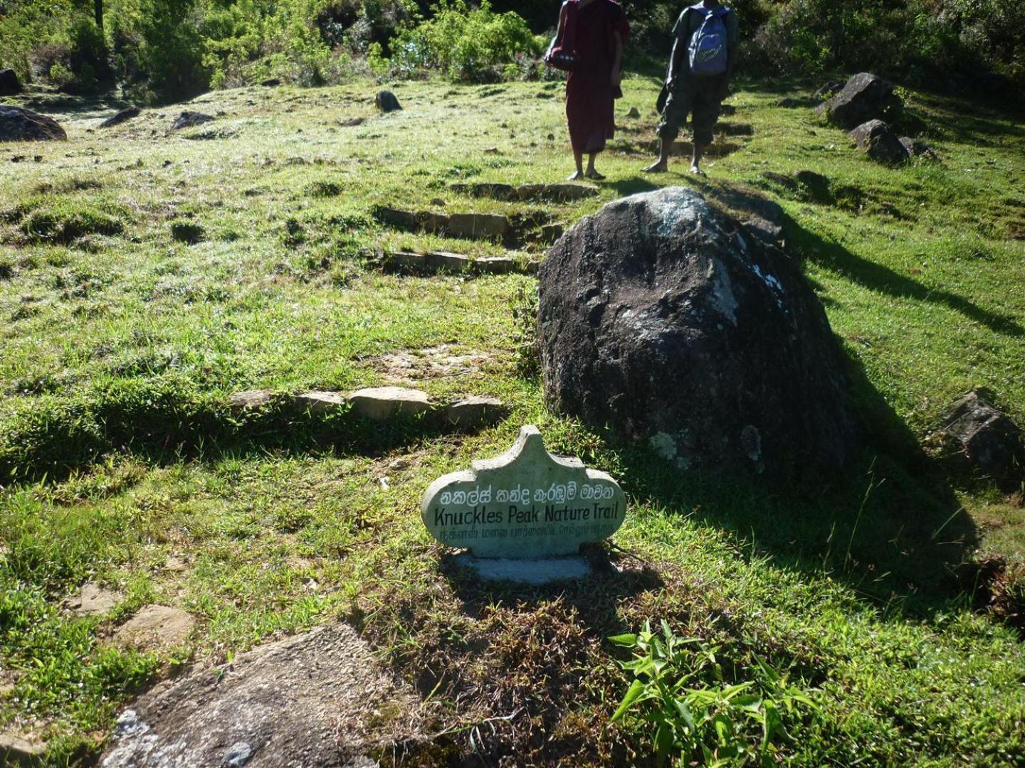Rohana Estate Lodging & Camping Kandy Exterior foto