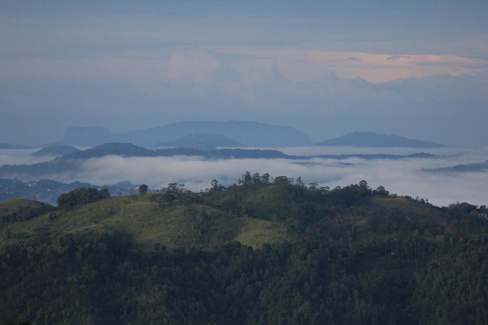 Rohana Estate Lodging & Camping Kandy Exterior foto