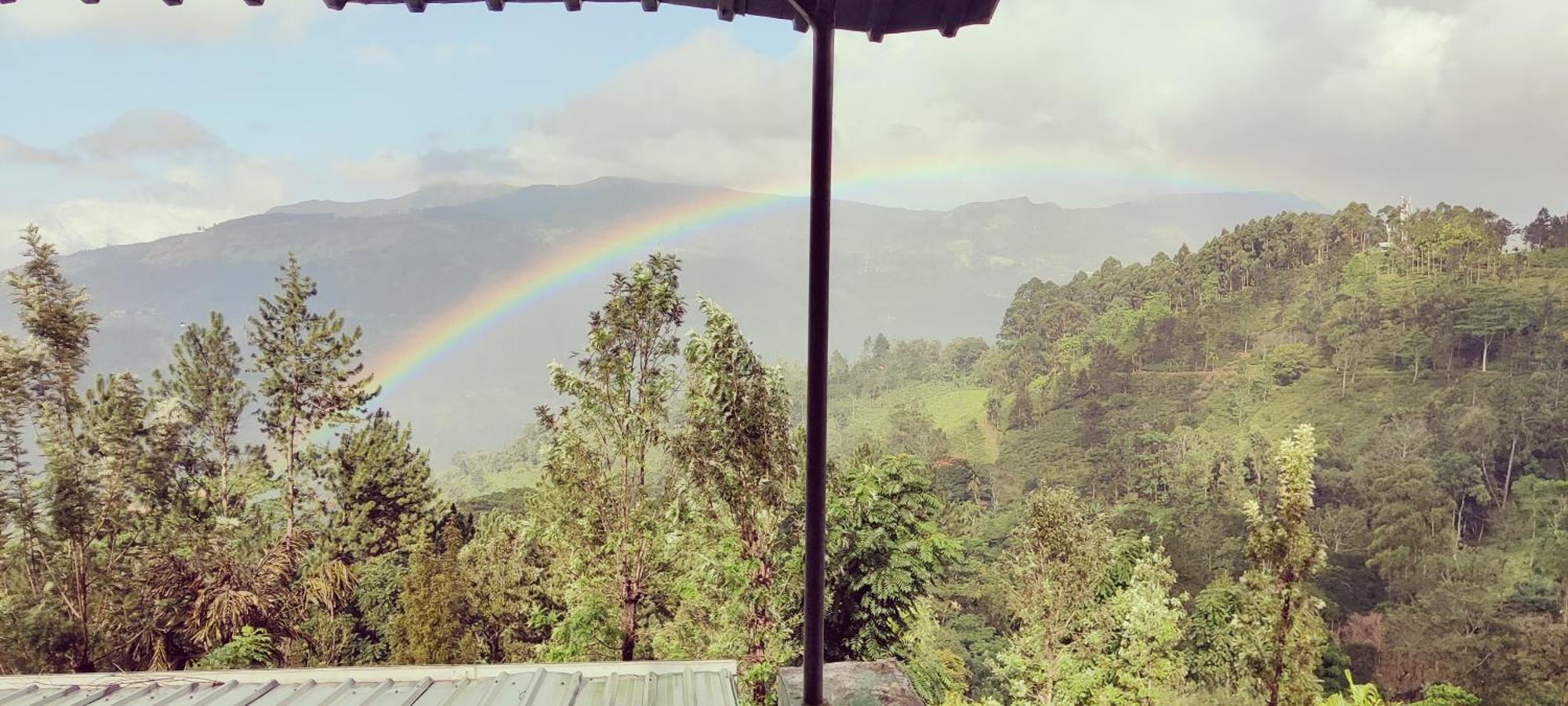Rohana Estate Lodging & Camping Kandy Exterior foto